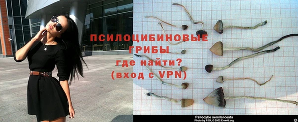 мдпв Долгопрудный